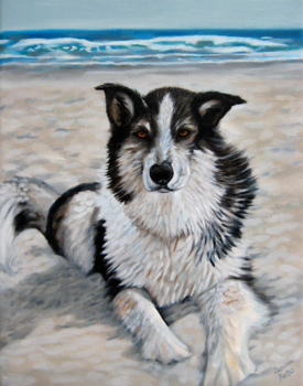 Oscar Pet Portrait by Susanna Pantas